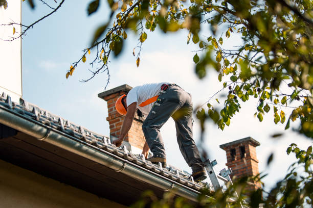 Best Storm Damage Roof Repair  in Bernice, LA